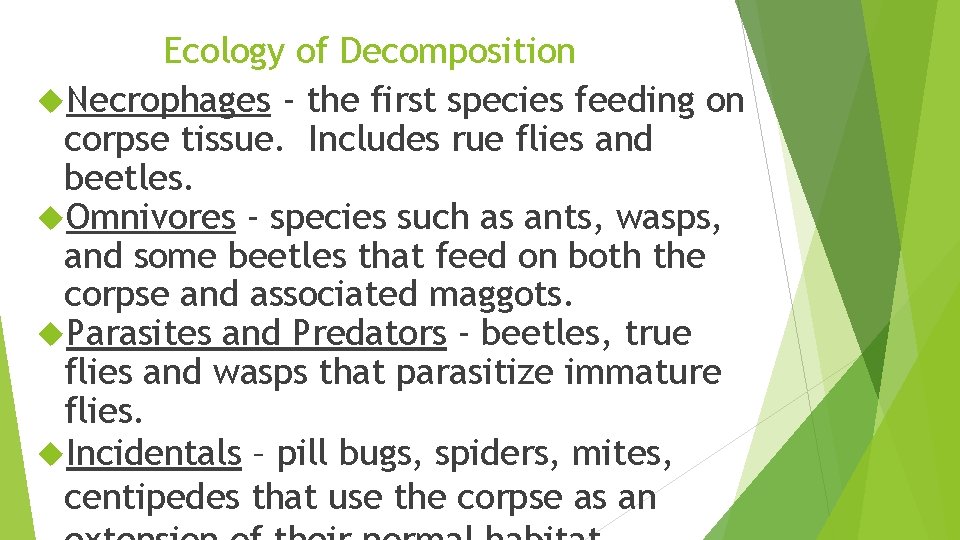 Ecology of Decomposition Necrophages - the first species feeding on corpse tissue. Includes rue