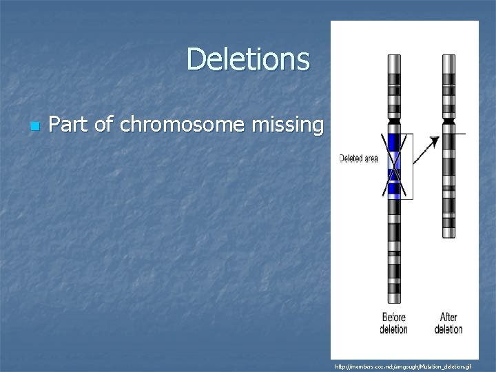 Deletions n Part of chromosome missing http: //members. cox. net/amgough/Mutation_deletion. gif 
