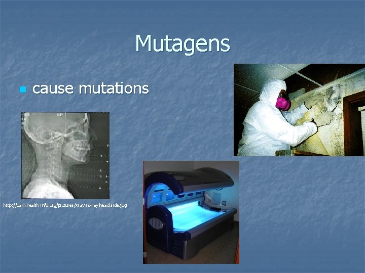 Mutagens n cause mutations http: //pain. health-info. org/pictures/Xray's/Xray. head. side. jpg 