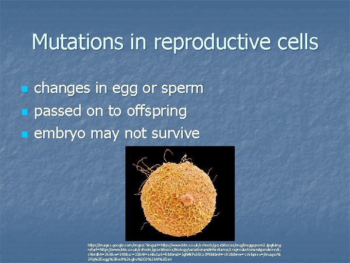 Mutations in reproductive cells n n n changes in egg or sperm passed on