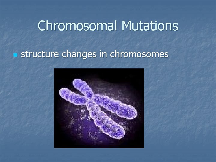 Chromosomal Mutations n structure changes in chromosomes 