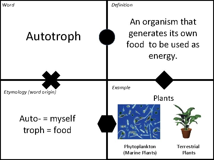 Word Definition Autotroph Etymology (word origin) An organism that generates its own food to Word Definition Autotroph Etymology (word origin) An organism that generates its own food to