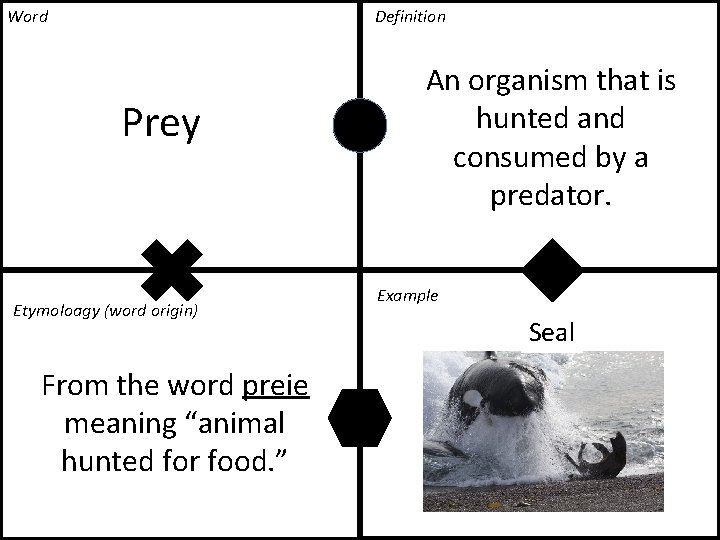 Word Definition Prey Etymoloagy (word origin) From the word preie meaning “animal hunted for Word Definition Prey Etymoloagy (word origin) From the word preie meaning “animal hunted for