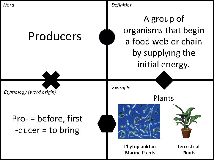 Word Definition Producers Etymology (word origin) A group of organisms that begin a food Word Definition Producers Etymology (word origin) A group of organisms that begin a food