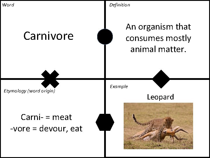 Word Definition Carnivore Etymology (word origin) Carni- = meat -vore = devour, eat An Word Definition Carnivore Etymology (word origin) Carni- = meat -vore = devour, eat An