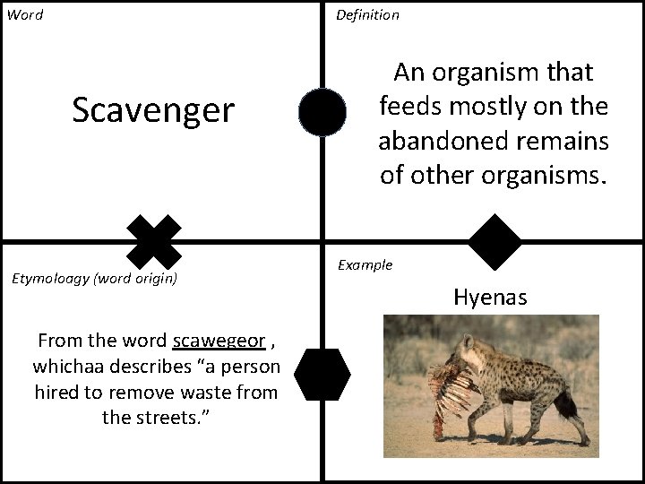 Word Definition Scavenger Etymoloagy (word origin) From the word scawegeor , whichaa describes “a Word Definition Scavenger Etymoloagy (word origin) From the word scawegeor , whichaa describes “a
