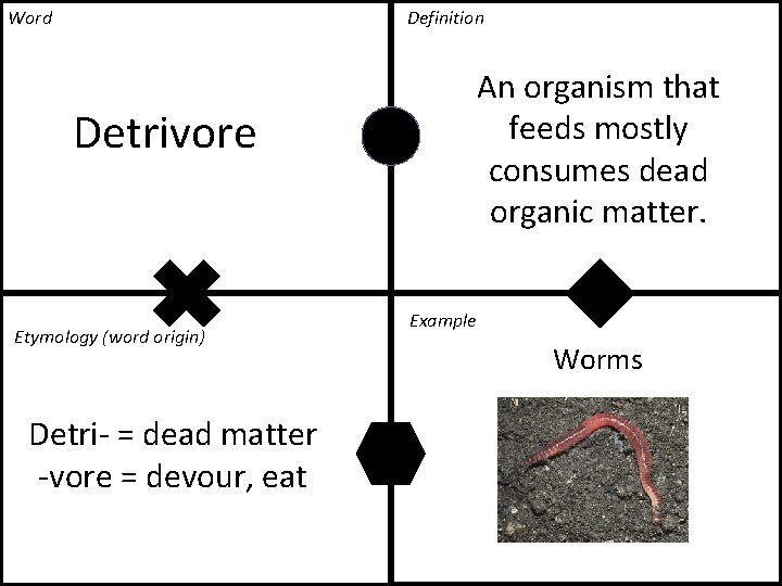 Word Definition An organism that feeds mostly consumes dead organic matter. Detrivore Etymology (word Word Definition An organism that feeds mostly consumes dead organic matter. Detrivore Etymology (word