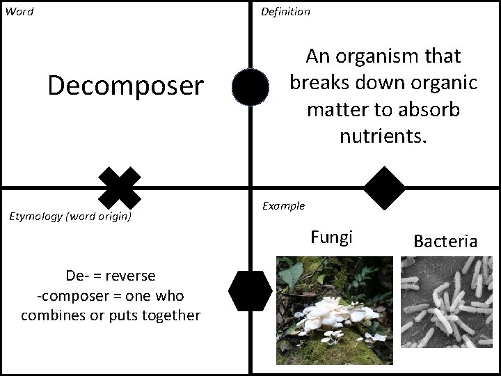 Word Definition Decomposer Etymology (word origin) An organism that breaks down organic matter to Word Definition Decomposer Etymology (word origin) An organism that breaks down organic matter to