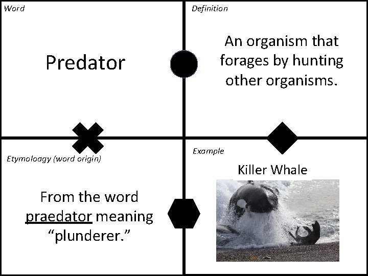 Word Definition Predator Etymoloagy (word origin) From the word praedator meaning “plunderer. ” An Word Definition Predator Etymoloagy (word origin) From the word praedator meaning “plunderer. ” An