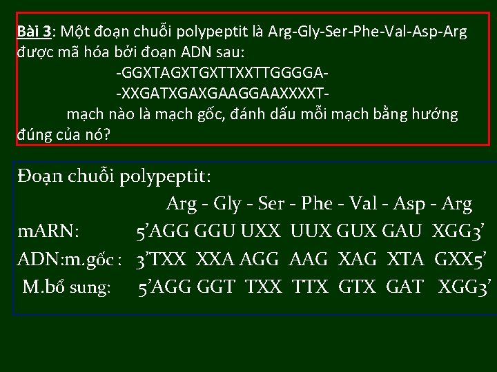 Bài 3: Một đoạn chuỗi polypeptit là Arg-Gly-Ser-Phe-Val-Asp-Arg được mã hóa bởi đoạn ADN