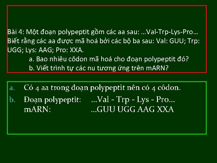 Bài 4: Một đoạn polypeptit gồm các aa sau: …Val-Trp-Lys-Pro… Biết rằng các aa