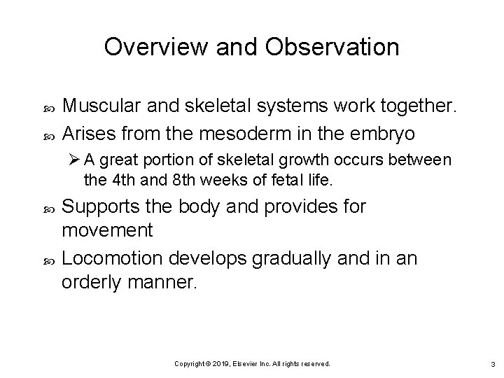 Overview and Observation Muscular and skeletal systems work together. Arises from the mesoderm in