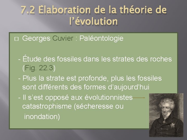7. 2 Élaboration de la théorie de l’évolution � Georges Cuvier : Paléontologie -