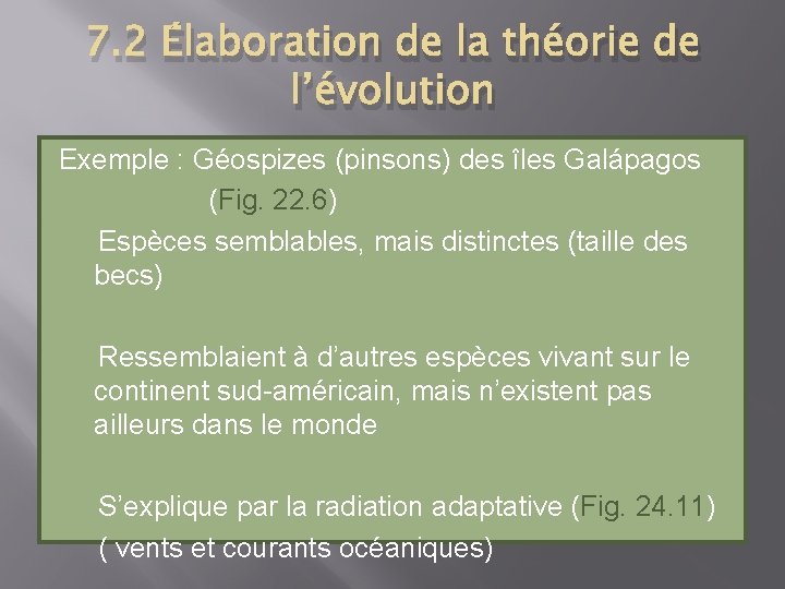 7. 2 Élaboration de la théorie de l’évolution Exemple : Géospizes (pinsons) des îles