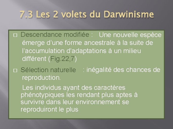 7. 3 Les 2 volets du Darwinisme � � Descendance modifiée : Une nouvelle