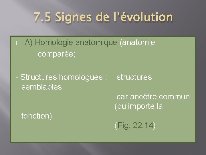 7. 5 Signes de l’évolution � A) Homologie anatomique (anatomie comparée) - Structures homologues