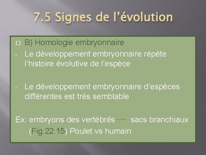 7. 5 Signes de l’évolution � - - B) Homologie embryonnaire Le développement embryonnaire