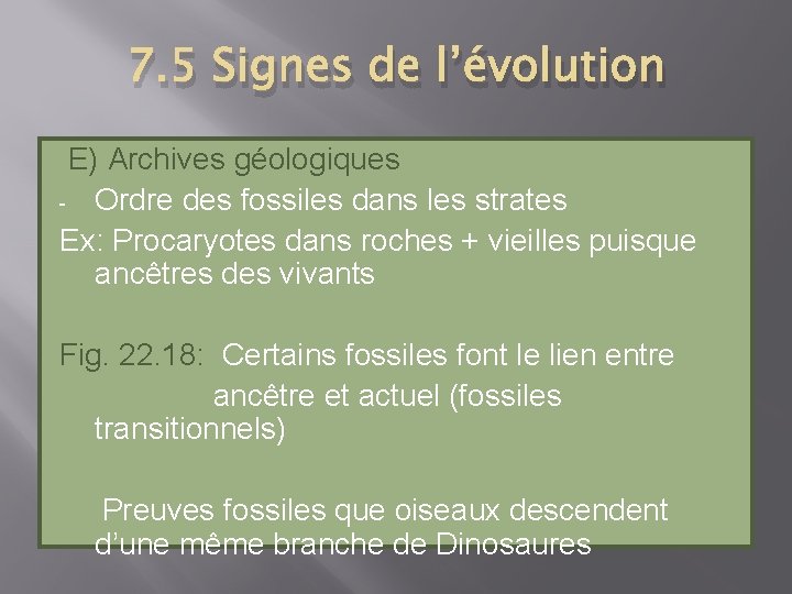 7. 5 Signes de l’évolution E) Archives géologiques - Ordre des fossiles dans les