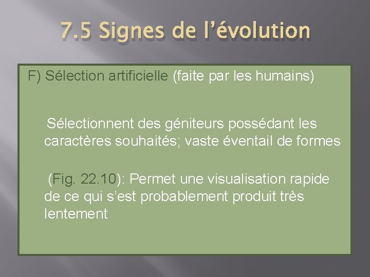 7. 5 Signes de l’évolution F) Sélection artificielle (faite par les humains) Sélectionnent des