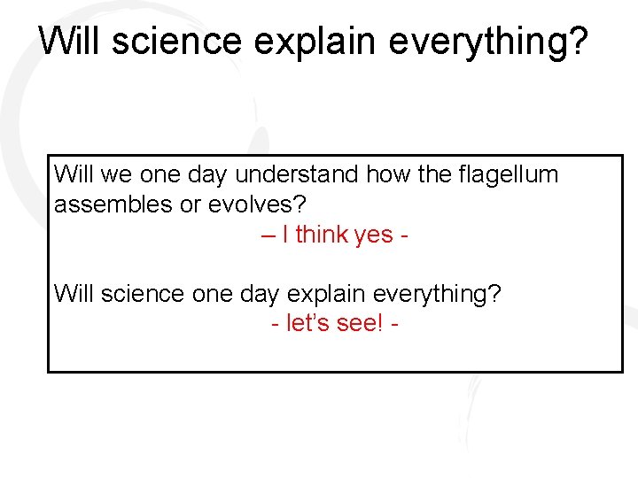 Will science explain everything? Will we one day understand how the flagellum assembles or