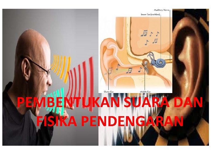 PEMBENTUKAN SUARA DAN FISIKA PENDENGARAN 