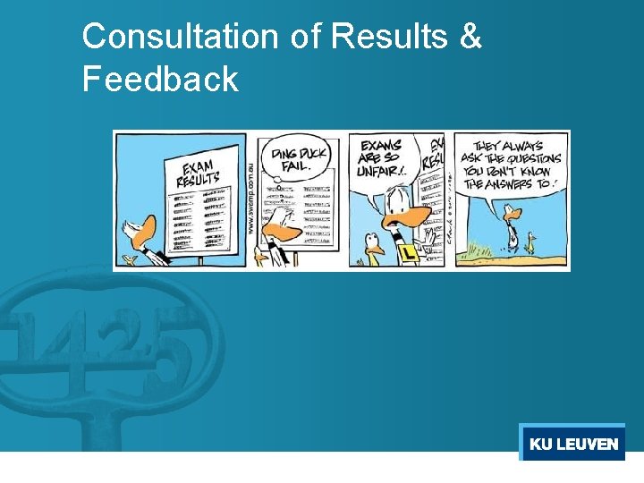 Consultation of Results & Feedback 