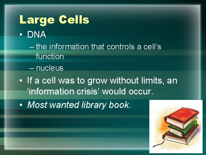 Large Cells • DNA – the information that controls a cell’s function – nucleus