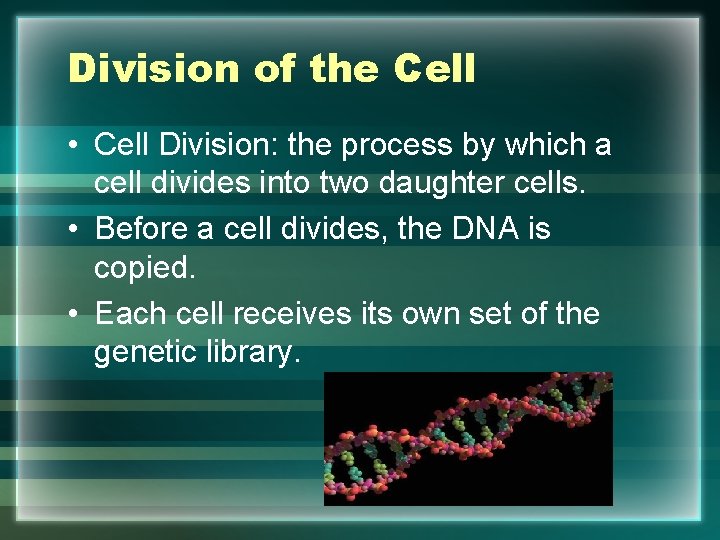 Division of the Cell • Cell Division: the process by which a cell divides