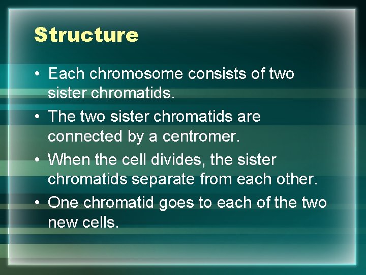 Structure • Each chromosome consists of two sister chromatids. • The two sister chromatids