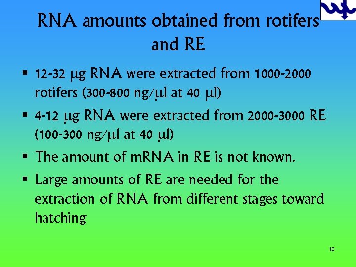 RNA amounts obtained from rotifers and RE § 12 -32 mg RNA were extracted