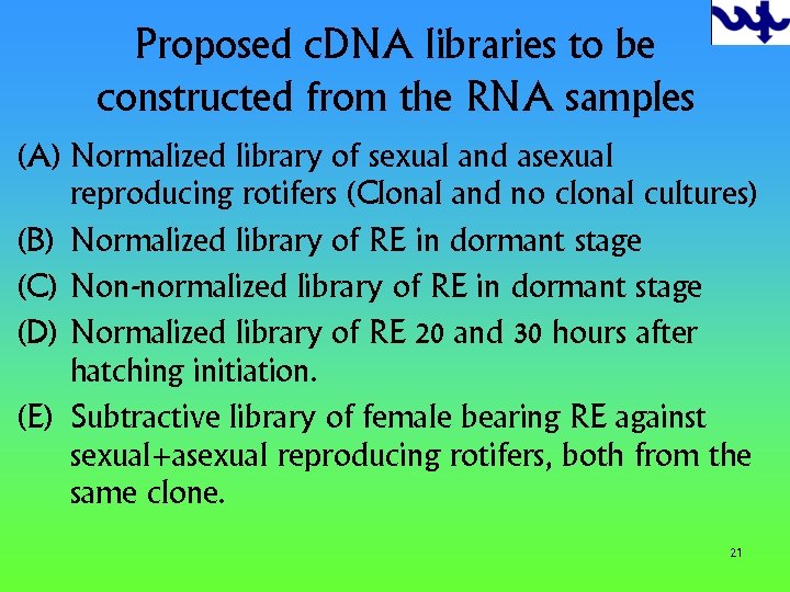 Proposed c. DNA libraries to be constructed from the RNA samples (A) Normalized library