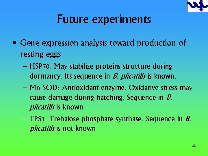 Future experiments § Gene expression analysis toward production of resting eggs – HSP 70: