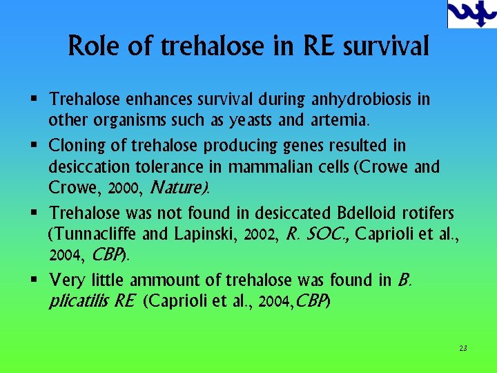 Role of trehalose in RE survival § Trehalose enhances survival during anhydrobiosis in other