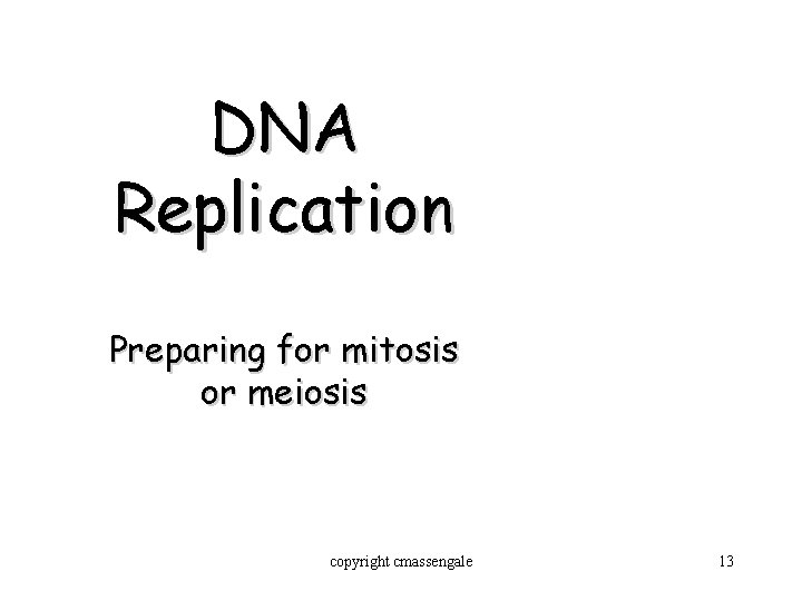 DNA Replication Preparing for mitosis or meiosis copyright cmassengale 13 