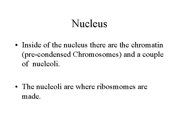 Nucleus • Inside of the nucleus there are the chromatin (pre-condensed Chromosomes) and a