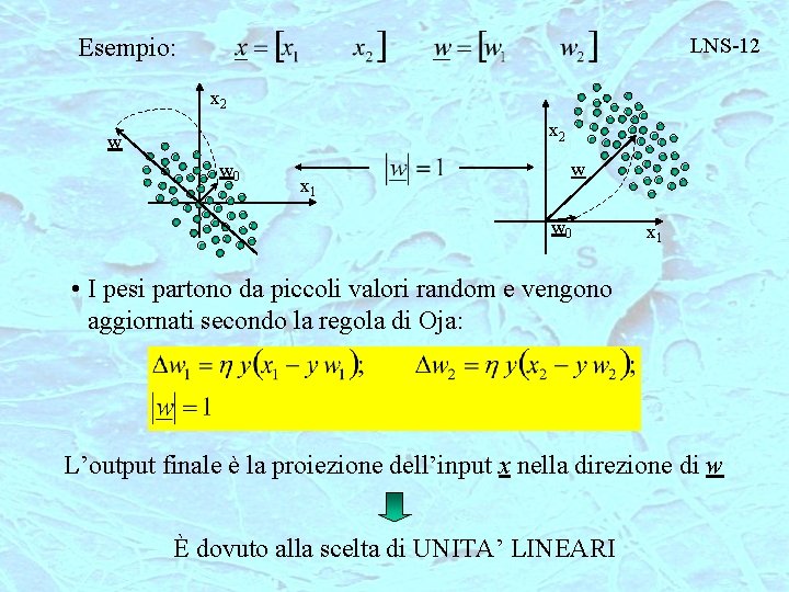 Esempio: LNS-12 x 2 w w 0 x 1 • I pesi partono da