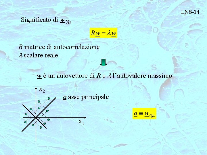 LNS-14 Significato di w. Oja R matrice di autocorrelazione l scalare reale w è