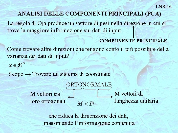 LNS-16 ANALISI DELLE COMPONENTI PRINCIPALI (PCA) La regola di Oja produce un vettore di