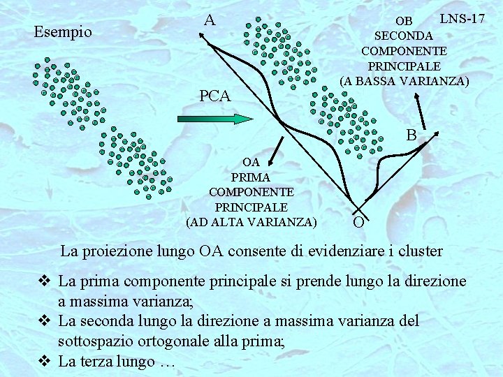 Esempio A PCA LNS-17 OB SECONDA COMPONENTE PRINCIPALE (A BASSA VARIANZA) B OA PRIMA