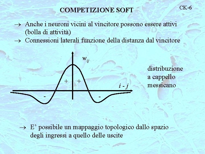 CK-6 COMPETIZIONE SOFT Anche i neuroni vicini al vincitore possono essere attivi (bolla di