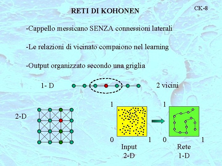 CK-8 RETI DI KOHONEN -Cappello messicano SENZA connessioni laterali -Le relazioni di vicinato compaiono