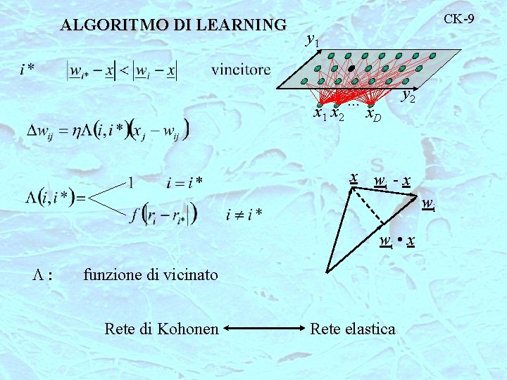 ALGORITMO DI LEARNING CK-9 y 1 x 2 … x. D y 2 x