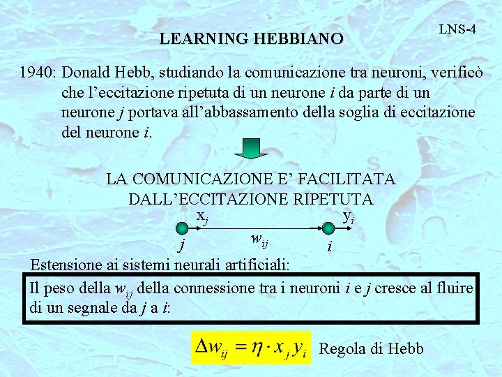 LEARNING HEBBIANO LNS-4 1940: Donald Hebb, studiando la comunicazione tra neuroni, verificò che l’eccitazione