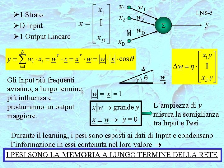 Ø 1 Strato ØD Input Ø 1 Output Lineare Gli Input più frequenti avranno,