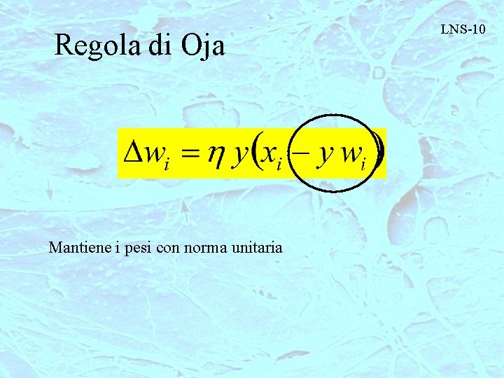 Regola di Oja Mantiene i pesi con norma unitaria LNS-10 