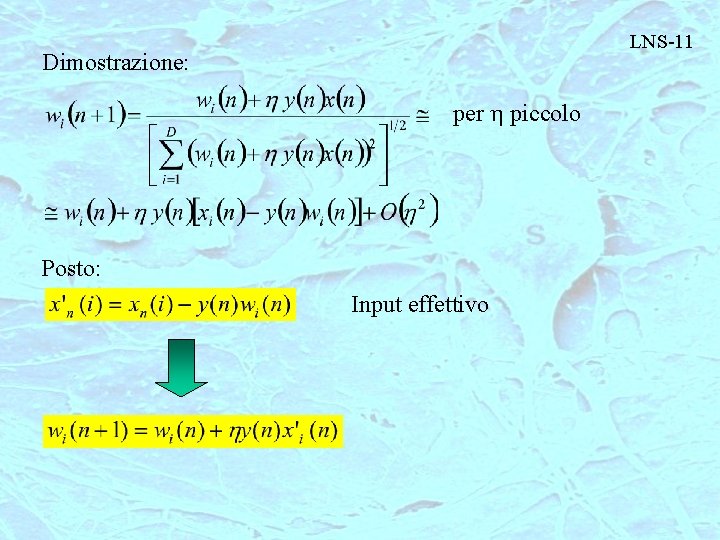 LNS-11 Dimostrazione: per h piccolo Posto: Input effettivo 