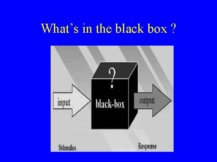 What’s in the black box ? 