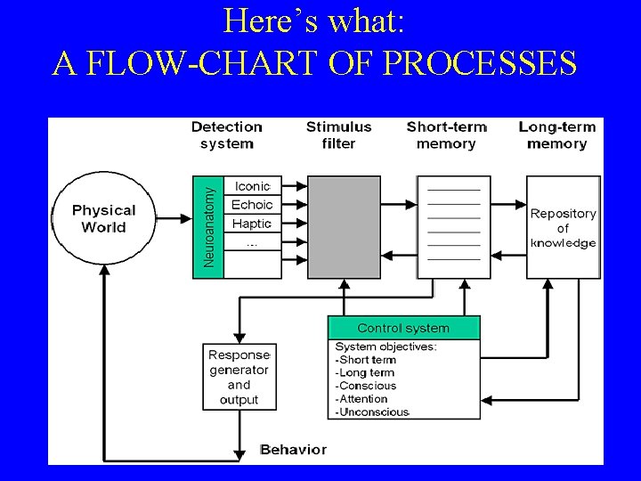 Here’s what: A FLOW-CHART OF PROCESSES 