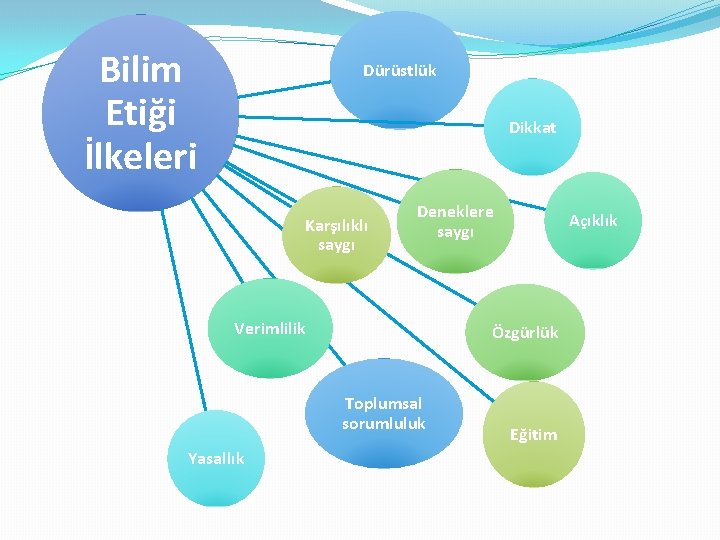 Bilim Etiği İlkeleri Dürüstlük Dikkat Karşılıklı saygı Deneklere saygı Verimlilik Özgürlük Toplumsal sorumluluk Yasallık