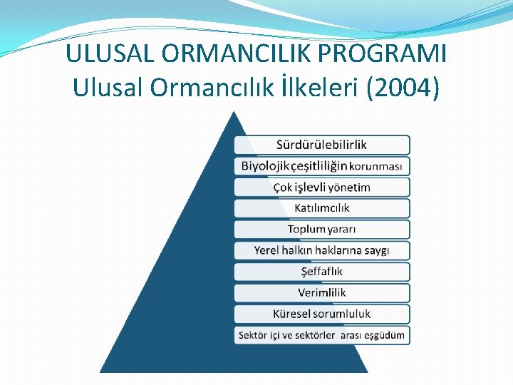 ULUSAL ORMANCILIK PROGRAMI Ulusal Ormancılık İlkeleri (2004) 